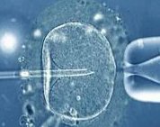 上海三代试管生孩子要多少钱？附上海三代试管助孕生子价格表