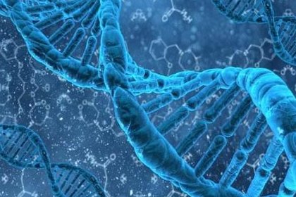 免疫系统对试管婴儿着床的影响及提高成功率的方法解析