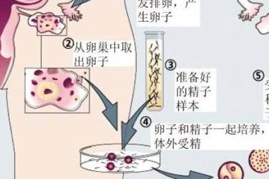 北京可以生孩子的试管服务机构有哪些？这三家费用平均不超15万