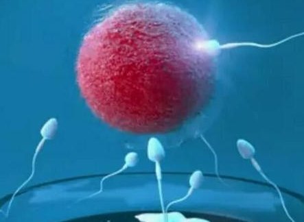 单身试管婴儿多少钱？附费用明细